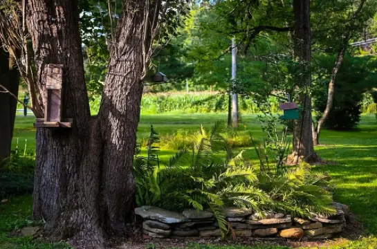 Creekside Cottage - Charming 3-bedroom cottage in Bellville