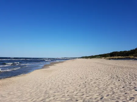 Landhaus Birka - a family dream Отели в г. Трассенхайде
