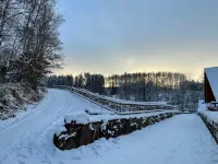 Kleine Auszeit im Wald - mit Schwimmbad!