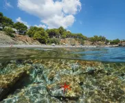 Appartement 2 Chambres Pour 4 Personnes Hotels in Llanca