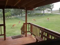 Private Country Cottage in the Black Hills Hotels in Mount Rushmore UT