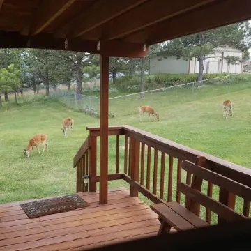 Private Country Cottage in the Black Hills