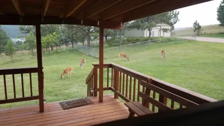 Private Country Cottage in the Black Hills