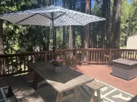 Kid & Pet Friendly Beautiful Fully Functioning Cabin Sleeps 8
