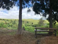 Beautiful Private Cottage