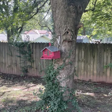 Cheerful mid-town home close to Bass Pro, shopping and local eateries.