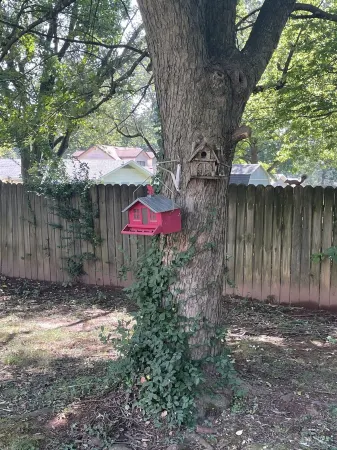 Cheerful mid-town home close to Bass Pro, shopping and local eateries.