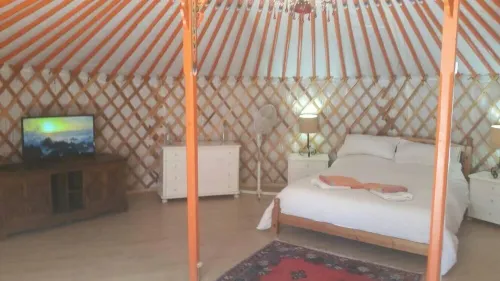 Unique Mongolian Yurt , romantic, secluded with private pool,  sleeps 5 , wifi,