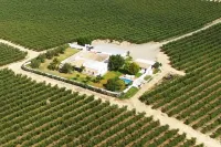 Casablanca: Rest among olive trees