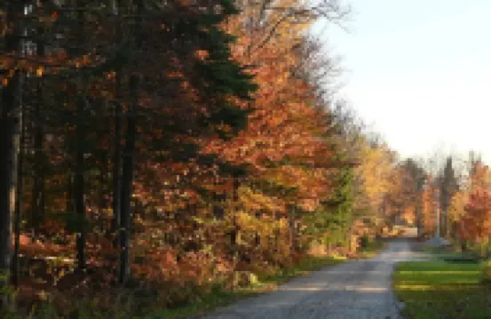 Dog Friendly Log Cabin + Wood Stove + Sauna + High Speed WiFi! 25 Min to Stowe!