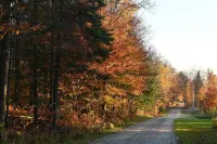Dog Friendly Log Cabin on 10 Acres + Wood Stove, High Speed WiFi, AC!