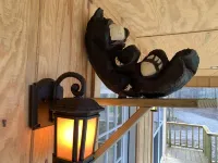 Lazy Bear Cottage with Beautiful view and Fiber Internet!