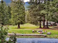 Large Lodge Near Nisqually Entrance, Sleeps 18