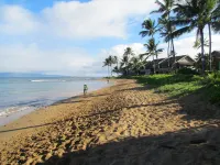 Maui is calling....it's a great time to take a trip!