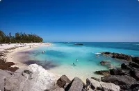 The Dancing Rooster: 2 Blocks from Duval in Old Town.