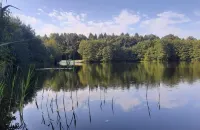 Luxurious Ukena vacation apartment in the count's Karl-Georgs-Forst; dogs welcome