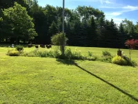 Jones Oaks: rural, private, kid friendly, near D&H Rail Trail, Elk Mtn