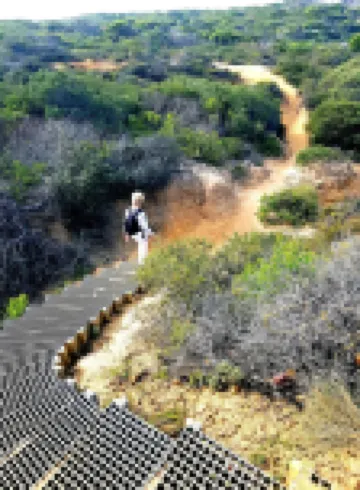 Beautiful Beach-side cottage with lap pool in North Maroubra close to Coogee 馬魯布拉酒店