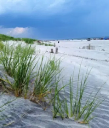 Steps to Beautiful Brigantine Beach. 1st. Floor Unit with Private Porch.