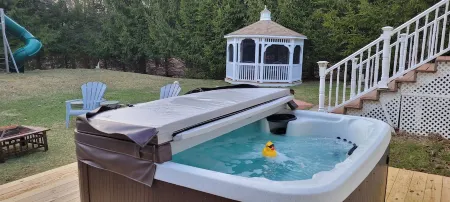 Luxury Home with Sauna, Hot Tubs, Game Room, Short Walk to Lake, King Beds