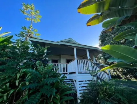 Private Paradise Organic Farm Stay with Ocean View, Nestled in Banana Grove