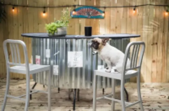 Brand new 1 bedroom, 1 bath Guest House! Sleeps 3