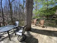 Cozy historic cottage in the woods. 10 minute walk to town