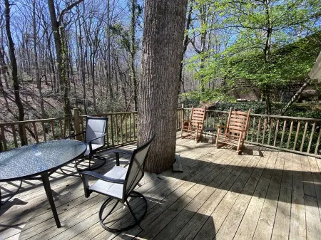 Cozy historic cottage in the woods. 10 minute walk to town Отели в г. Трион