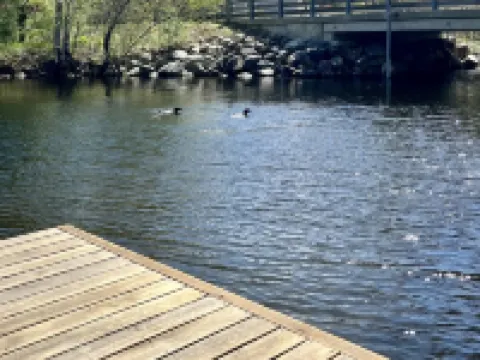 Grandmas Cottage on the River and the Rail Trail in Wolfeboro Hotels in Wolfeboro