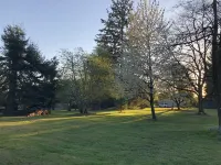 Cozy home with Private Forest/Park on 1.5 acres, Outdoor lounge area and Hot Tub