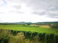 Maison au Cœur des Vignobles Alsaciens - Route des Vins