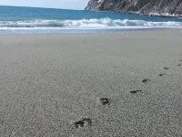 CENTRALLY quiet and typical residence -150 mt. from the sea Hotel a Levanto