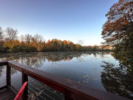 The 'Happy Go Fishing Cabin' at the Park Place (on Parks Rd)