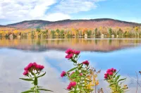 "Andy's Place" Hotels in Blanchard Township