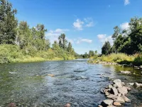 Stylish Mountaintop Treehouse 8 Min from UofO