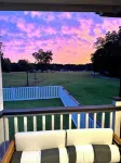 Pet friendly country cottage with large fenced-in yard & horses on property