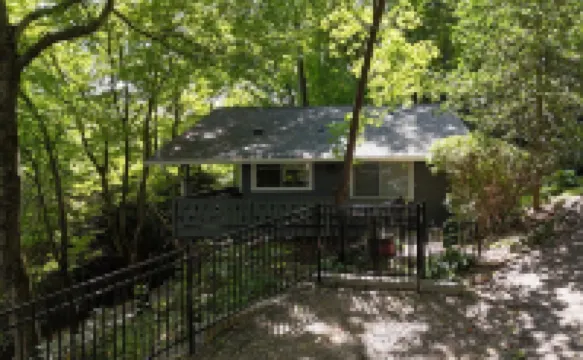 Treetop Chalet-4 Mins to DT Avl, 10 Mins to Blue Ridge Parkway, Dog Friendly, FP
