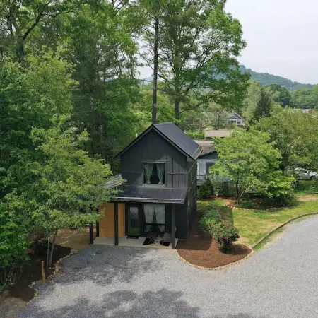 Black Mountain Pine HouseModern, Homey, and Close to Town!