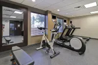 Homewood Suites by Hilton McAllen - gimnasio