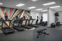 Hilton Garden Inn Atlanta North/Johns Creek - Gym
