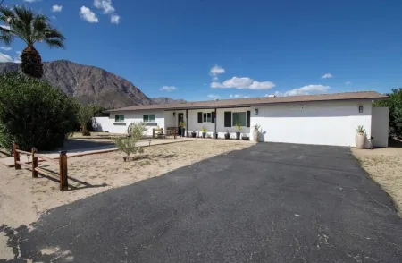 Designer Oasis Desert Paradise