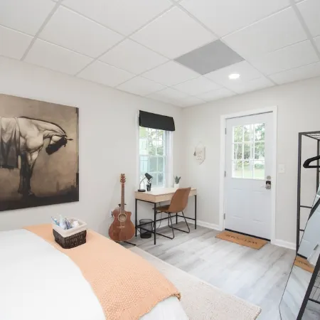 Luxury Centrally-Located 1Br/1BA Basement Apartment with Gym and W/D in Unit