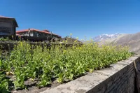 Lo Mustang Himalayan-Resort