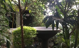 Hotel Calli Quetzalcoatl
