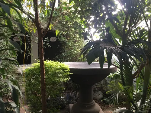 Hotel Calli Quetzalcoatl