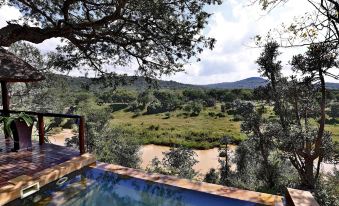 Amakhosi Safari Lodge & Spa