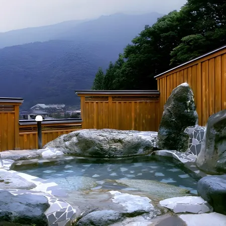 Ryokan Hida Beef