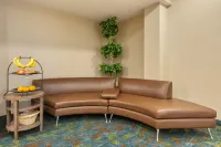 Candlewood Suites 邁爾斯堡薩尼貝爾網關 by IHG - 3 星級
