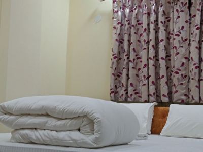 Asha Inn