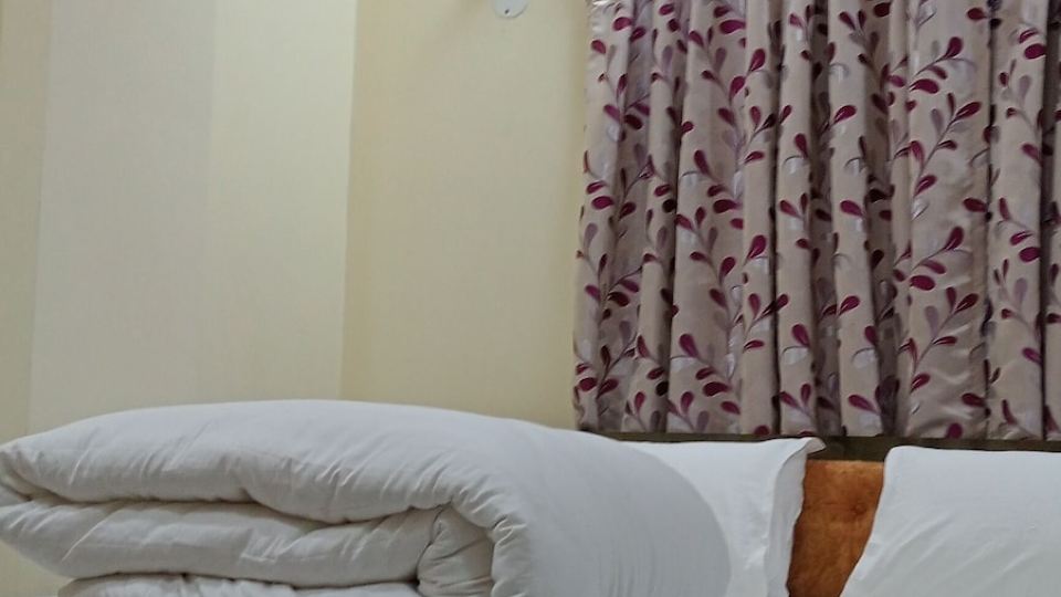 Asha Inn